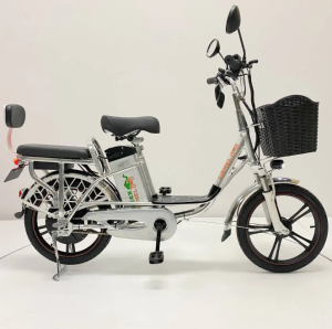 Электромопед GreenCamel Транк 18 V8 PRO (R18 250W 60v10Ah)