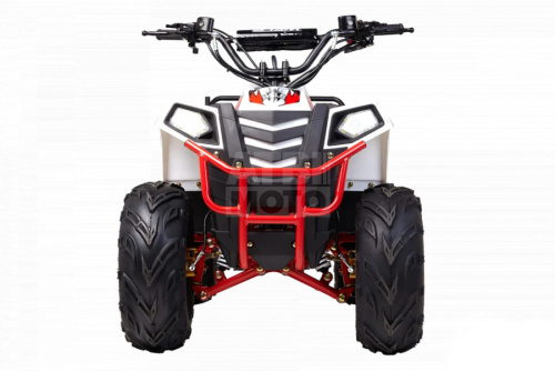 Квадроцикл WELS Thunder Evo.M 110 Квадроцикл WELS Thunder Evo.M 110