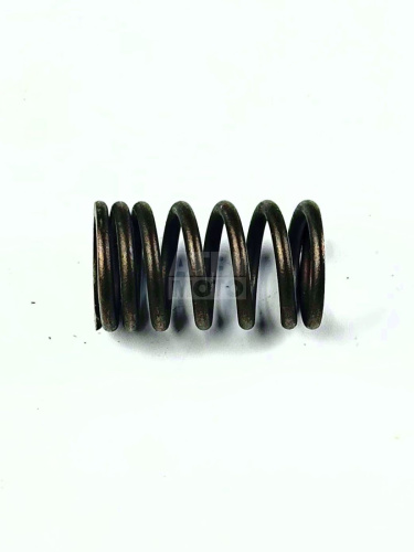 Пружина клапана внешняя 170MM TwinCam Пружина клапана внешняя 170MM TwinCam