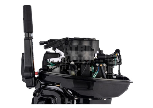 Лодочный мотор Parsun T9.9BMS Лодочный мотор Parsun T9.9BMS